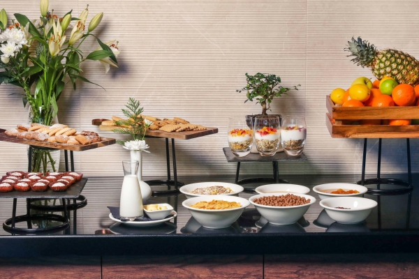 Hotel Mercure Tetovo (Тетово)
